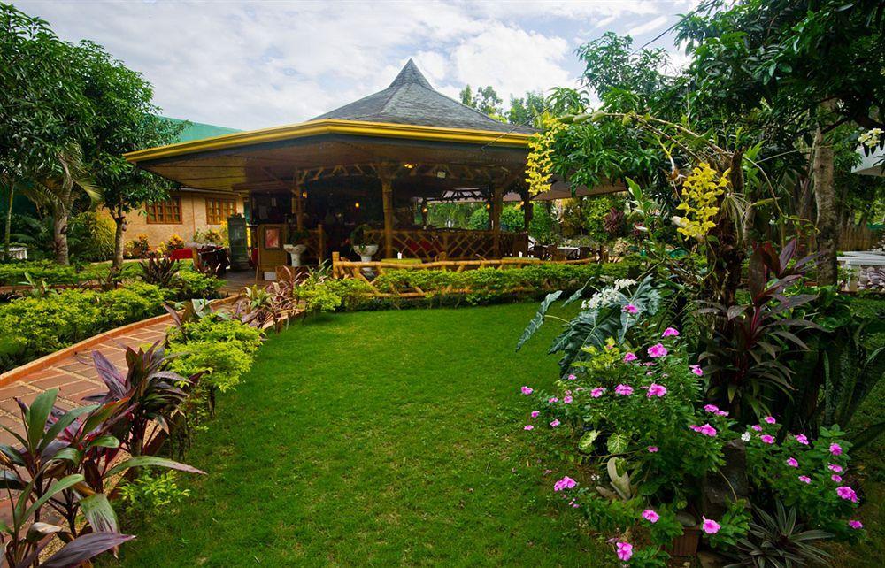 Dolce 3* Puerto Princesa